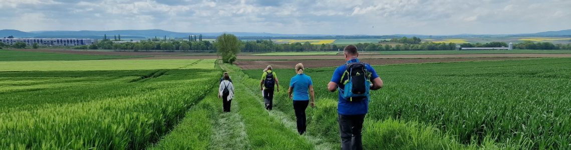 2-2023.05.14-Freies-Feld-Rueckweg
