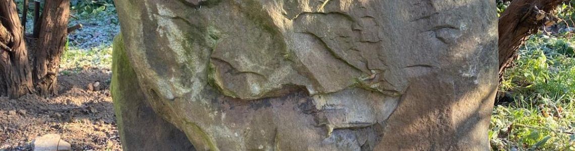 26d97f91-11f7-4ff8-820f-5897539cabbc (1)