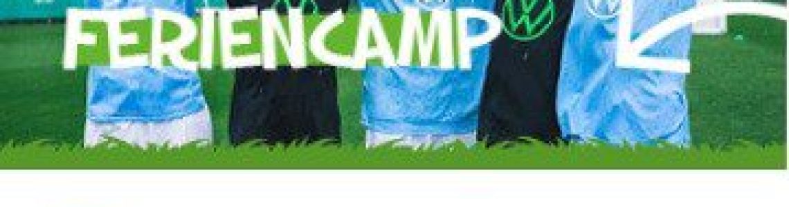 VFLcamp2