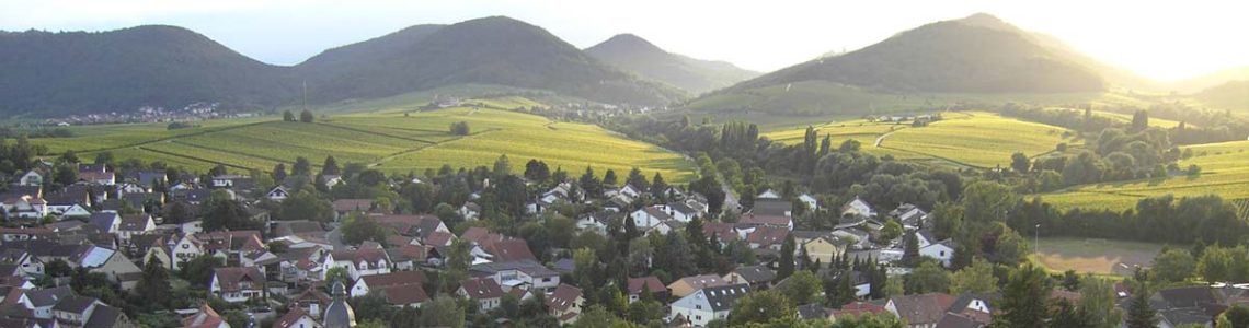 img_banner_suedpfalz