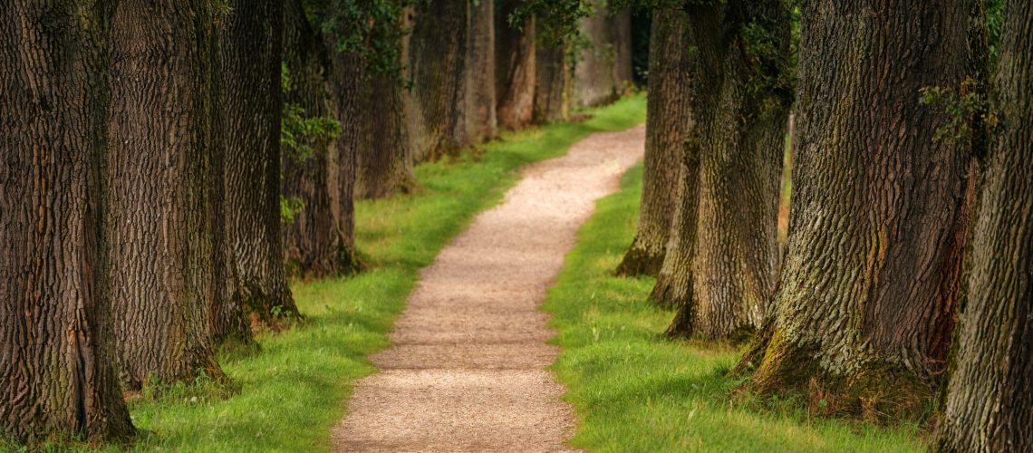 Wandern Platzhalter 8