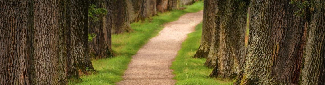 Wandern Platzhalter 8